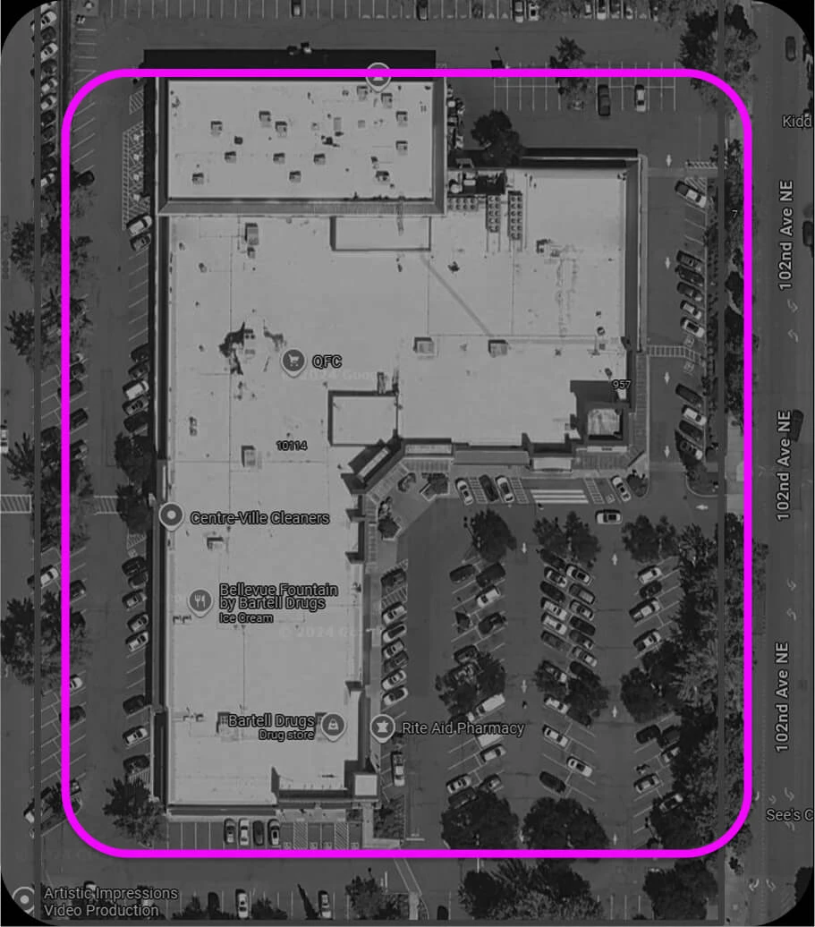 alta-survey-1